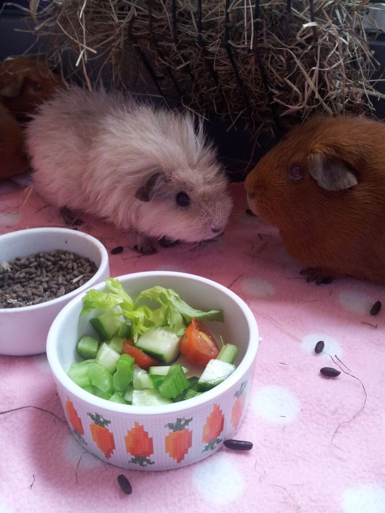 20120915_172323.jpg