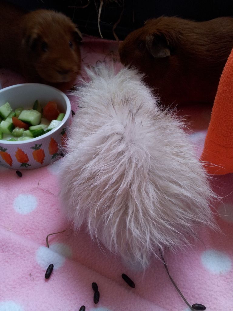 20120915_172630.jpg