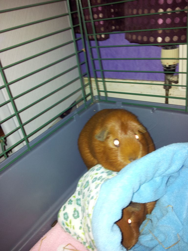 20120915_180847.jpg