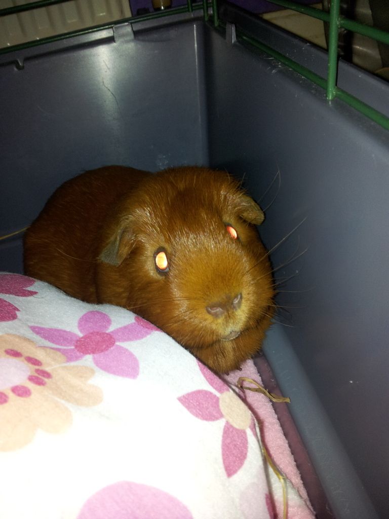 20120915_181835.jpg
