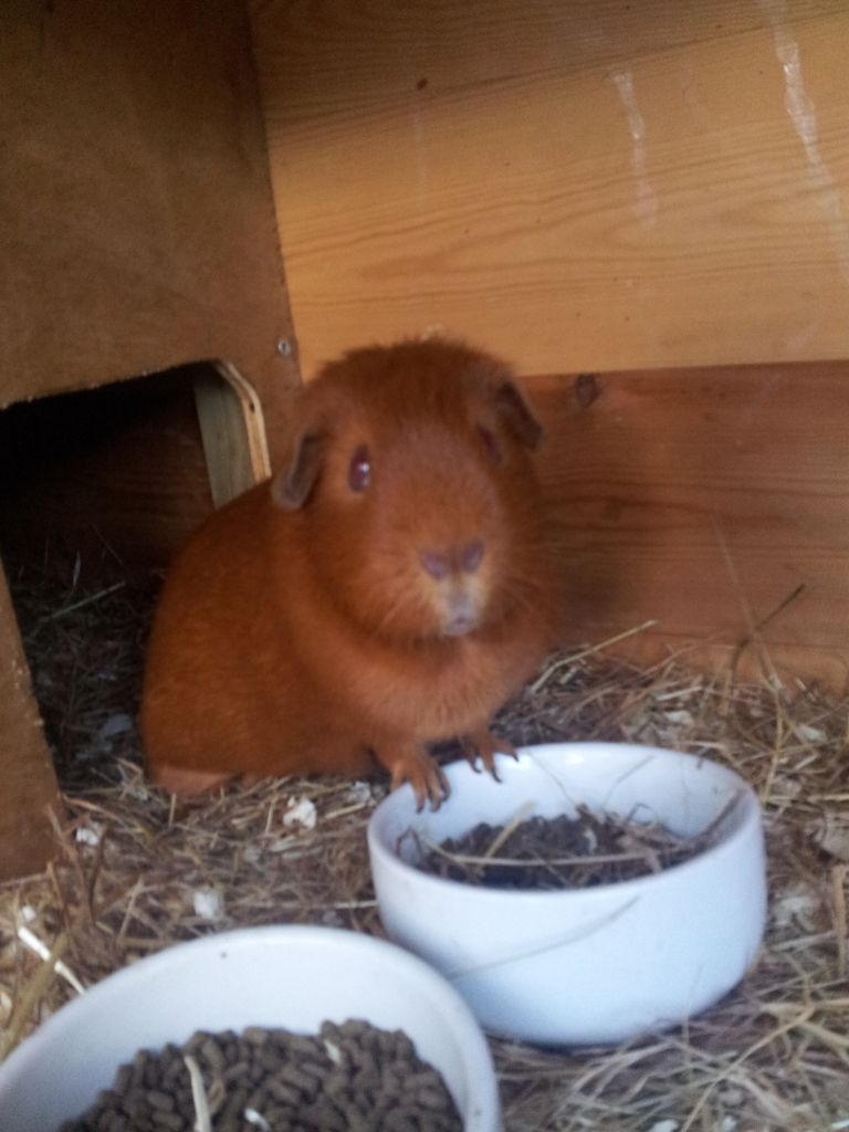 20120928_174943.jpg