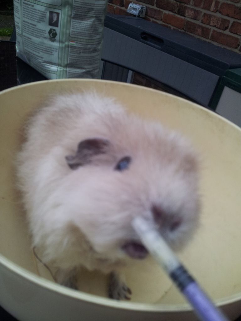 20120930_103148.jpg