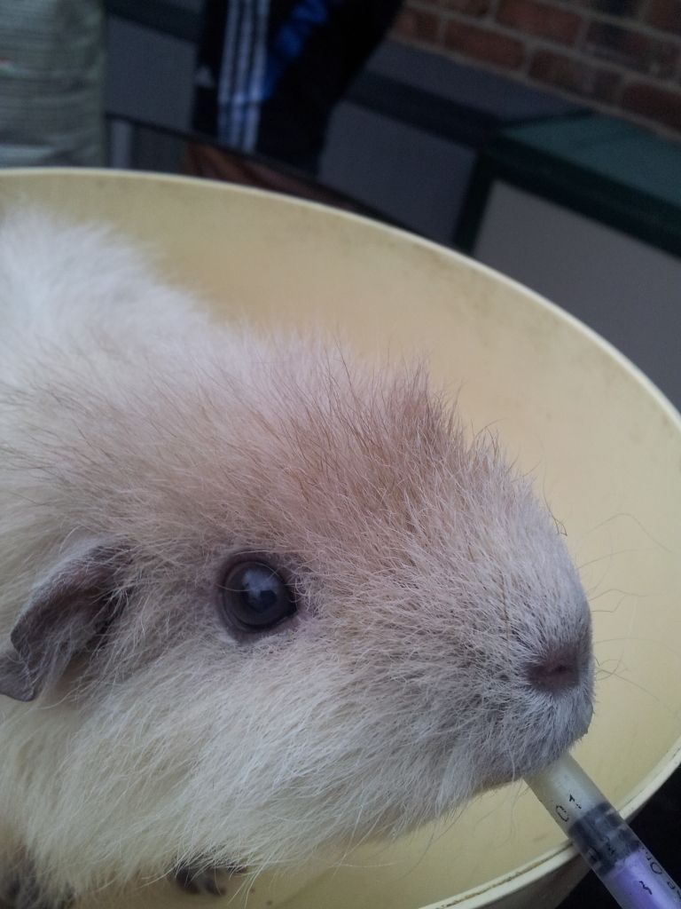 20120930_103203.jpg