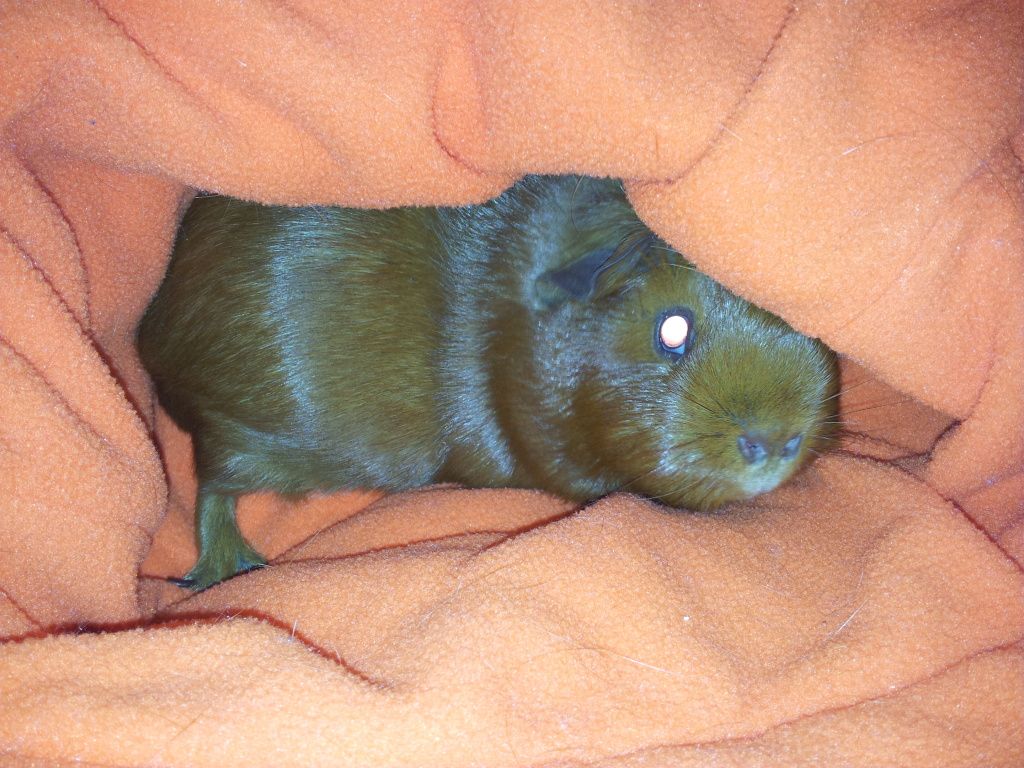 20120930_170048.jpg