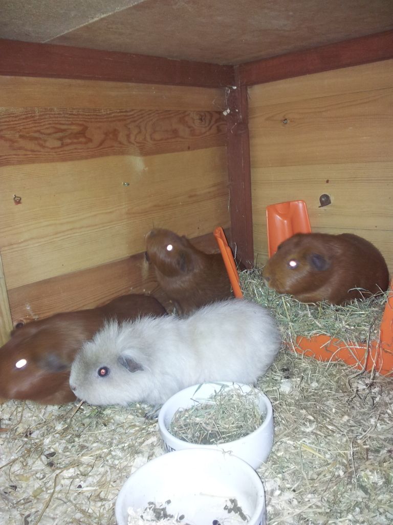20121014_181335.jpg