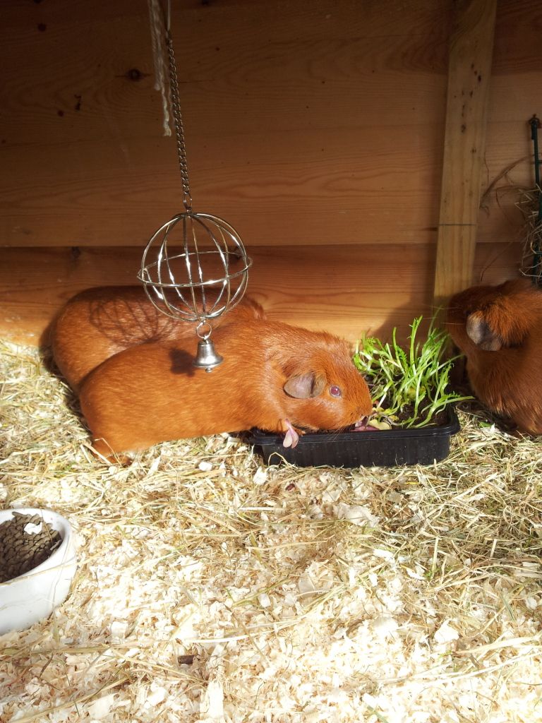 20121020_124030.jpg
