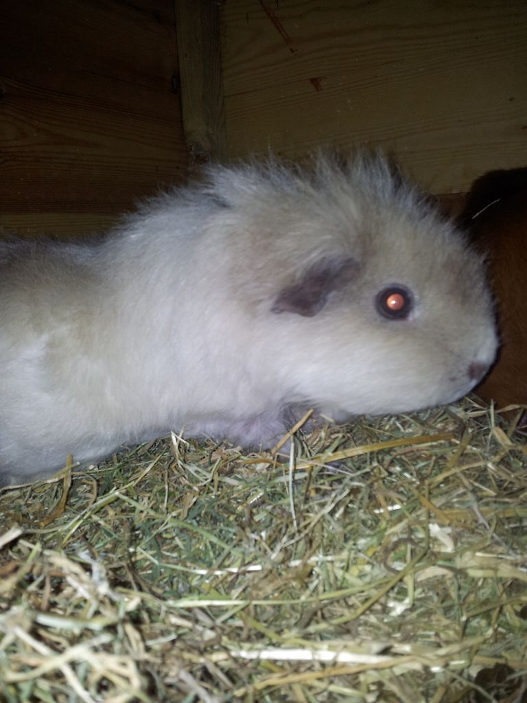 20121020_190721.jpg