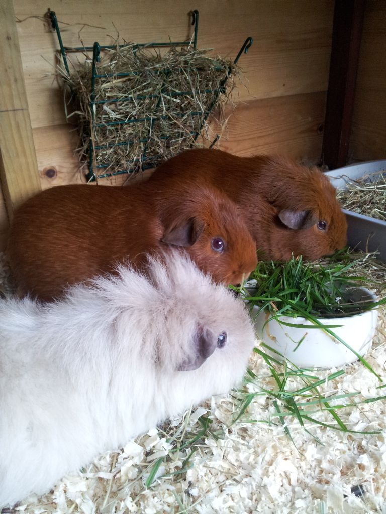 20121021_170210.jpg