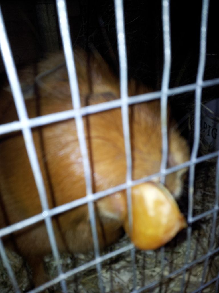 20121025_165817.jpg