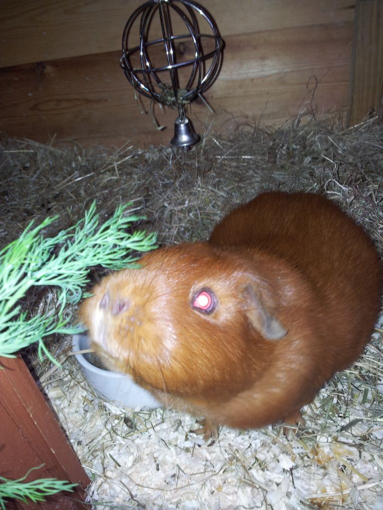 20121025_165913.jpg