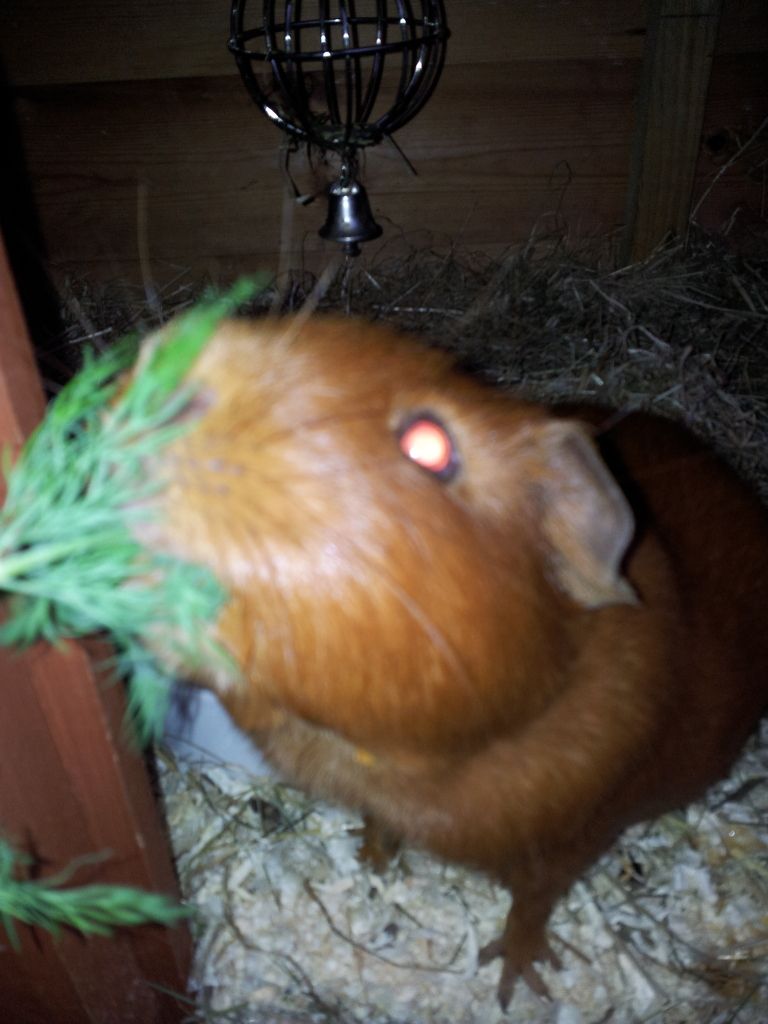 20121025_165926.jpg