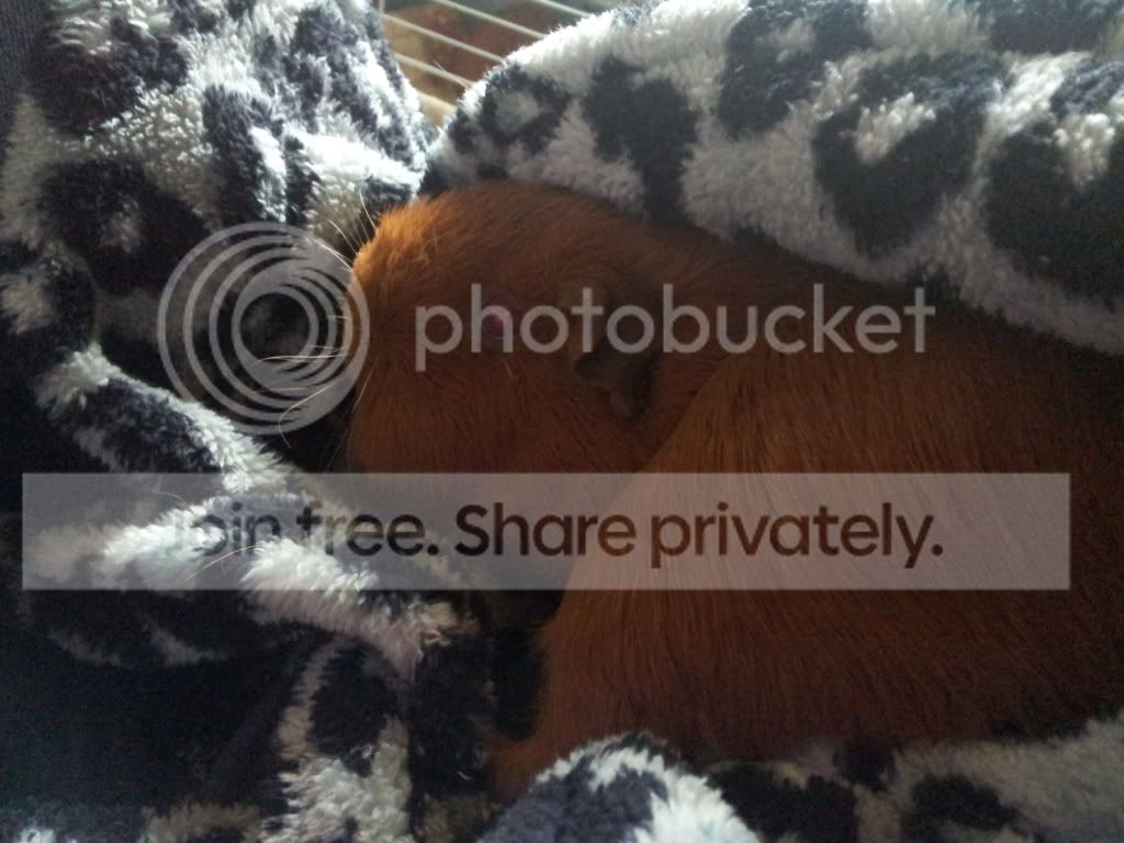 20121227_113828.jpg