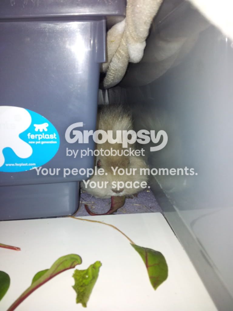 20130107_134617.jpg