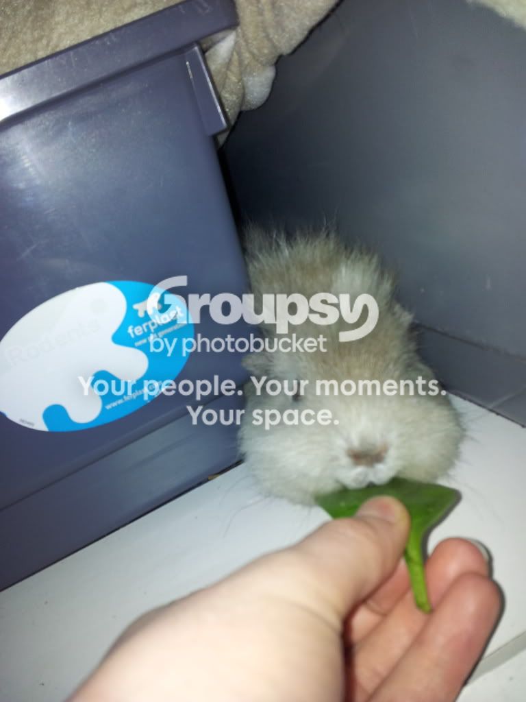 20130107_134923.jpg
