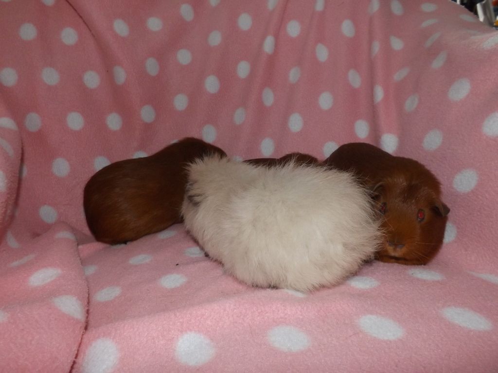 DSCF2739.jpg
