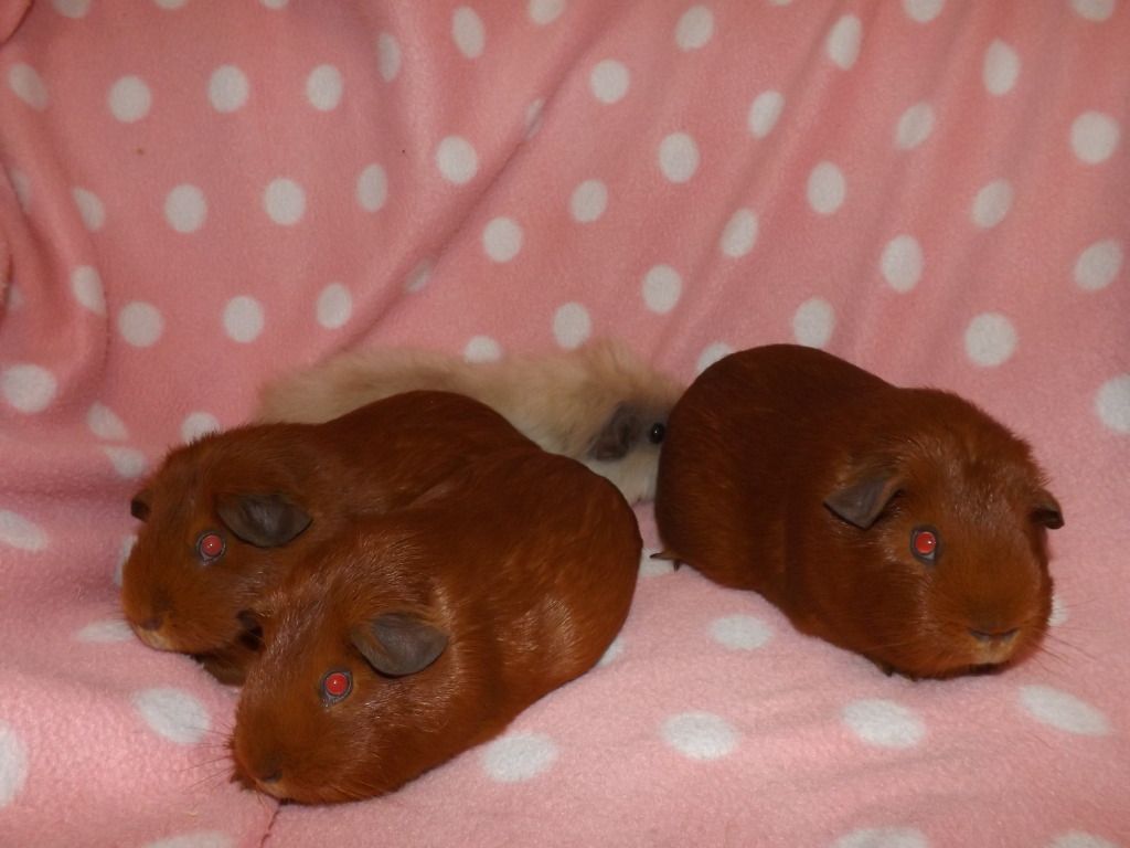 DSCF2755.jpg