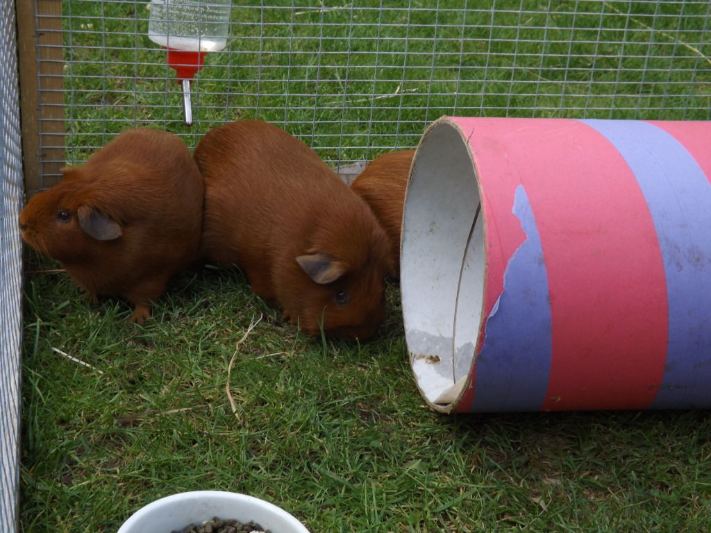 DSCF2871.jpg