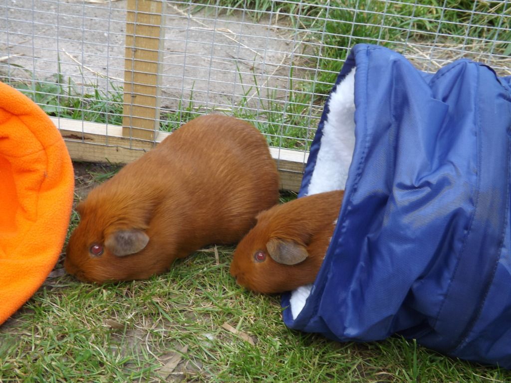 DSCF2886.jpg