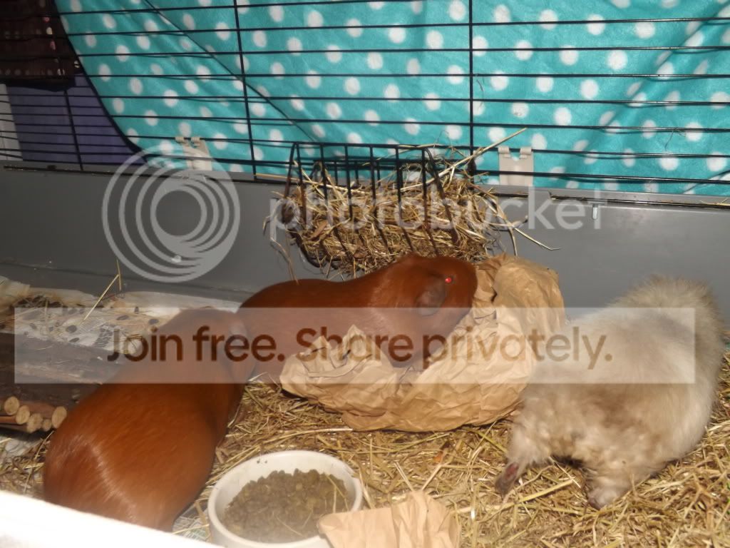 DSCF3259.jpg
