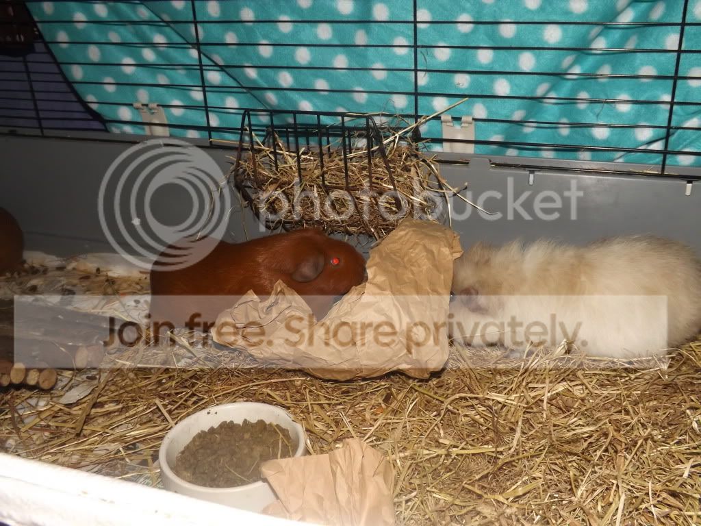 DSCF3260.jpg