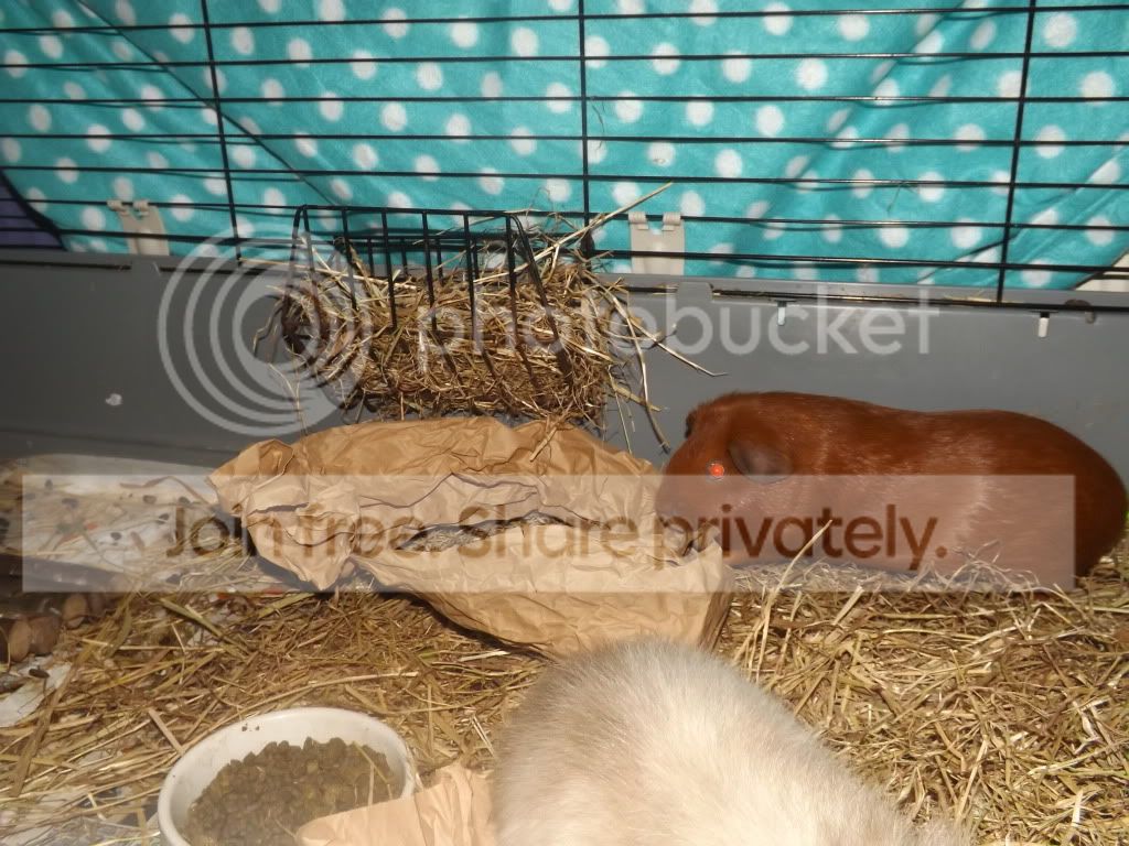 DSCF3261.jpg
