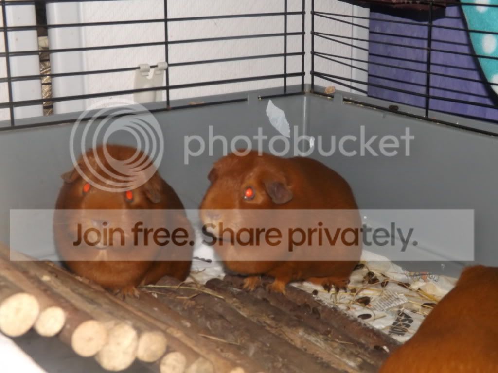 DSCF3265.jpg
