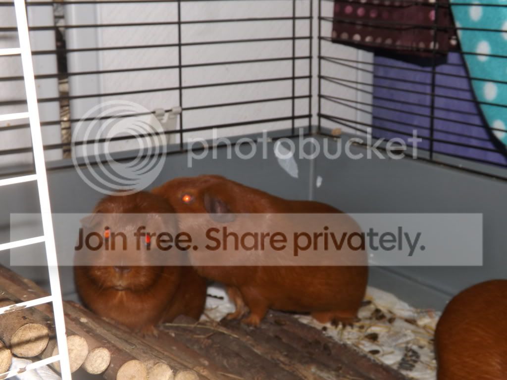 DSCF3267.jpg