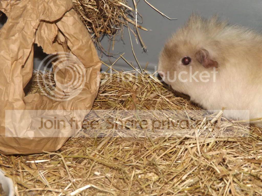 DSCF3282.jpg