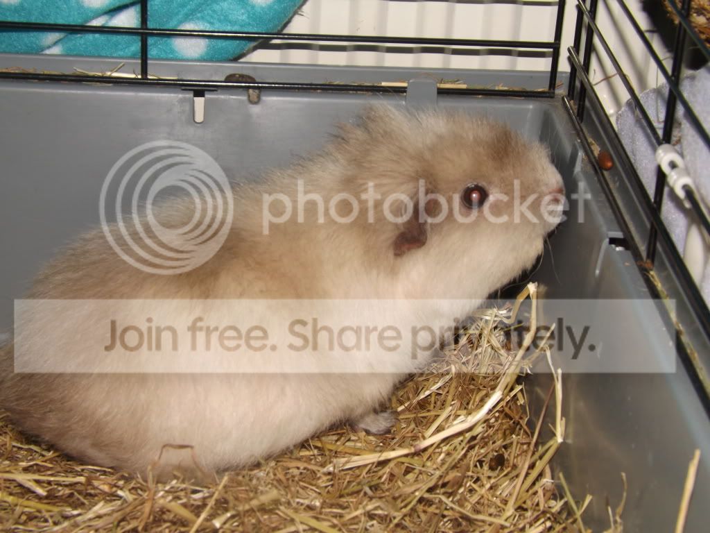 DSCF3290.jpg