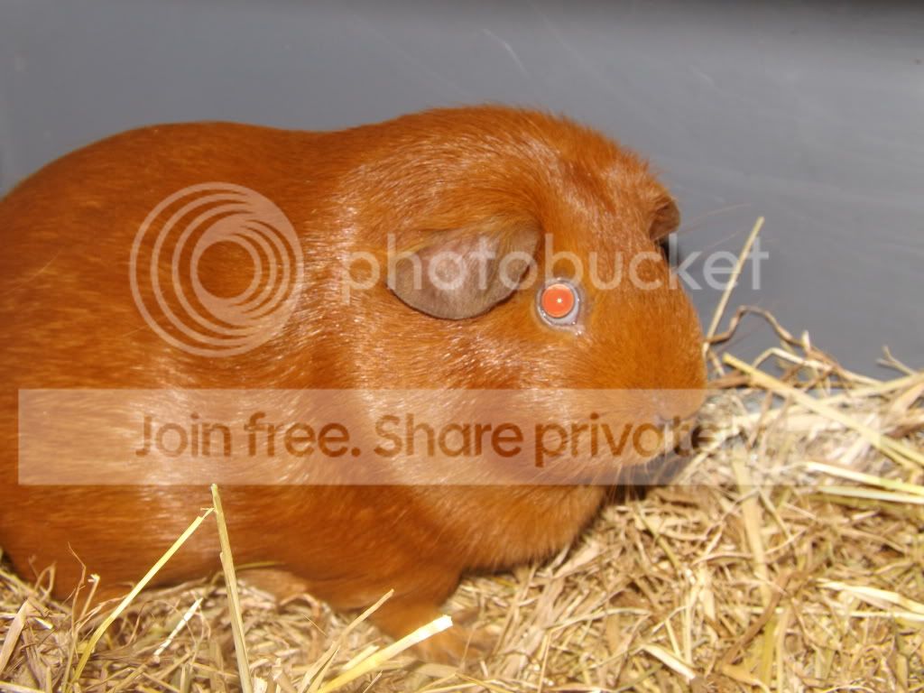 DSCF3291.jpg