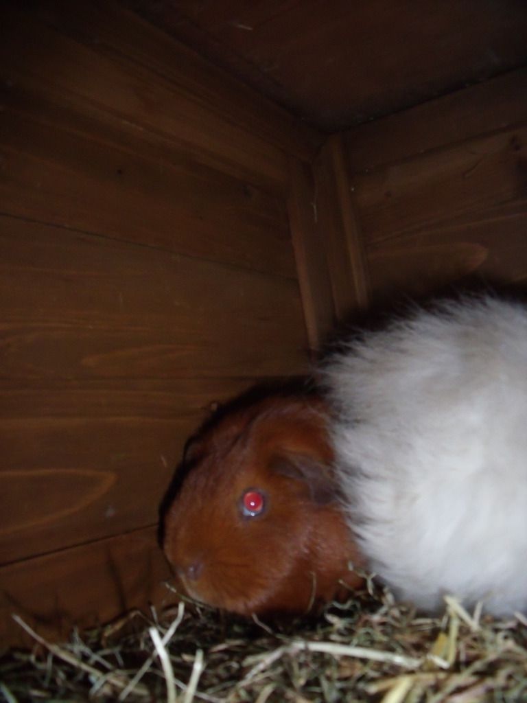 DSCF5178.jpg