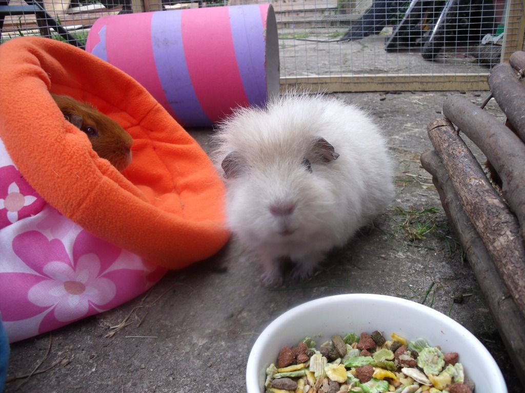 DSCF5215.jpg