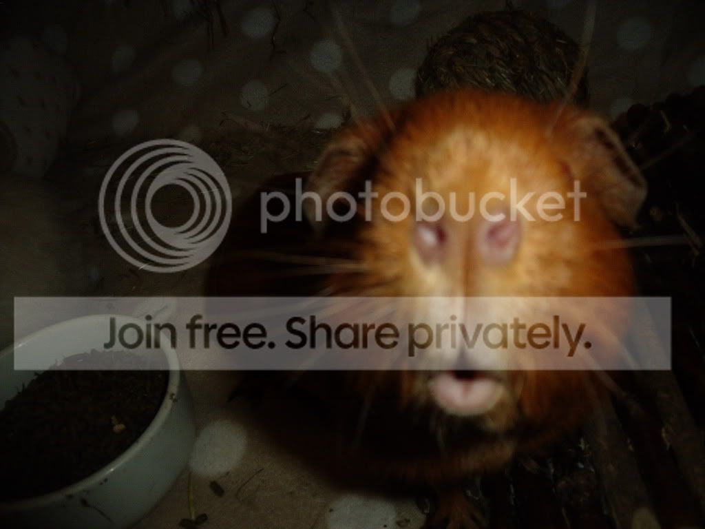 DSCF5572.jpg