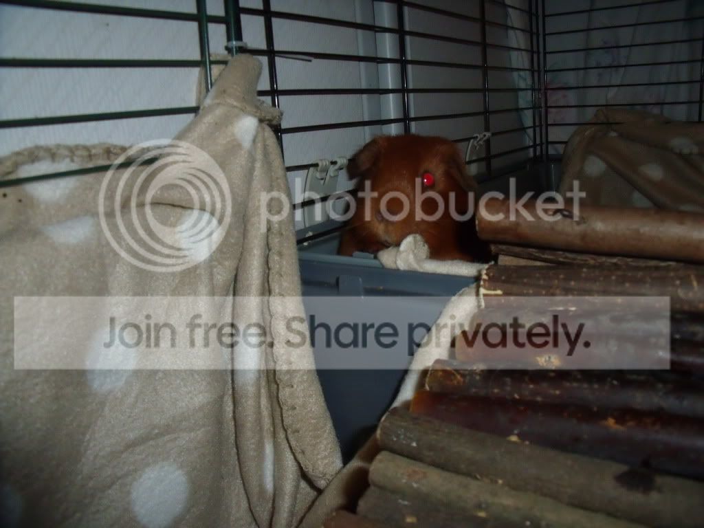 DSCF5575.jpg