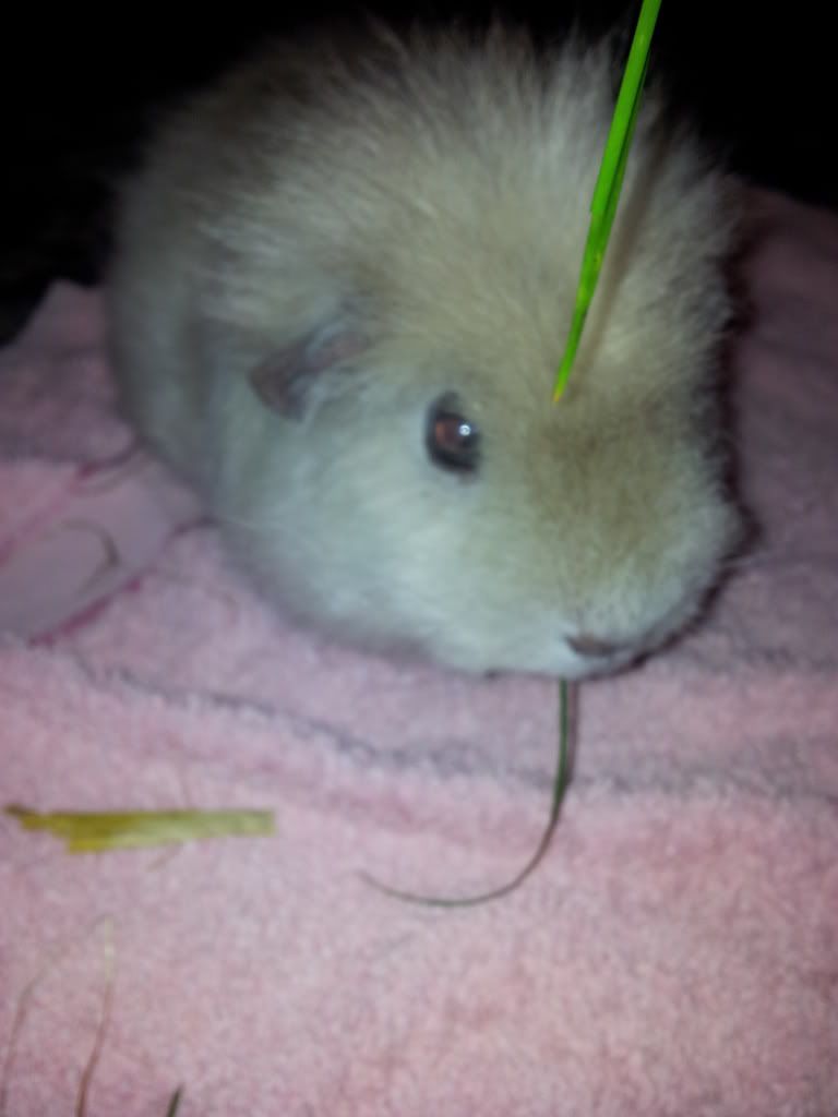 20111224_152334-Copy.jpg