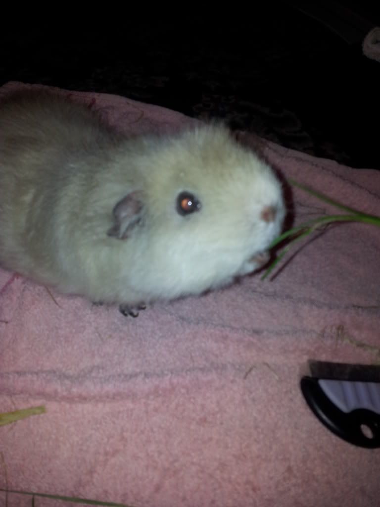 20111224_152448-Copy.jpg