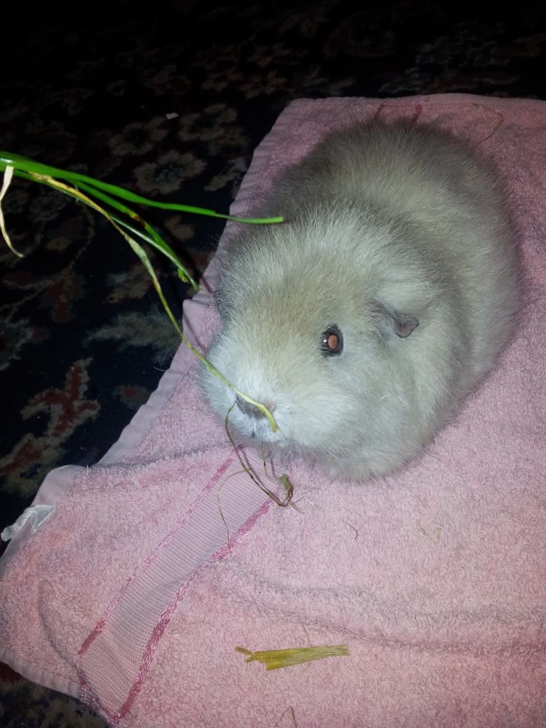 20111224_152623.jpg