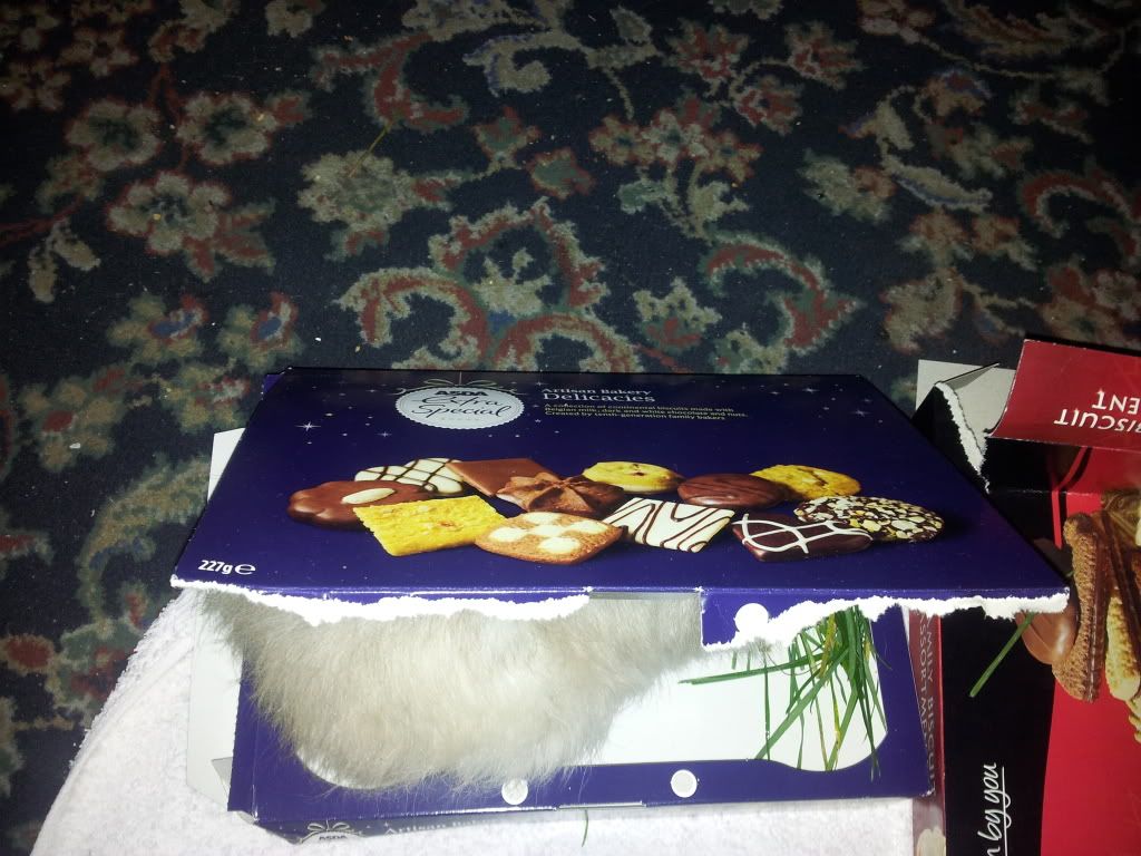 20111230_134736.jpg