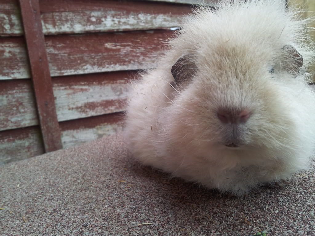 20120224_094107.jpg