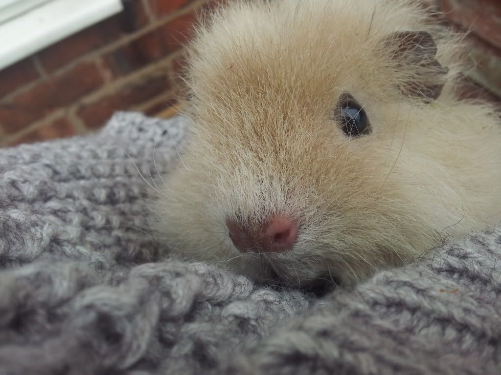 20120224_094148.jpg