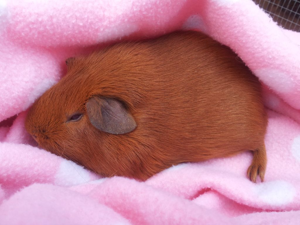 20120610_172037.jpg