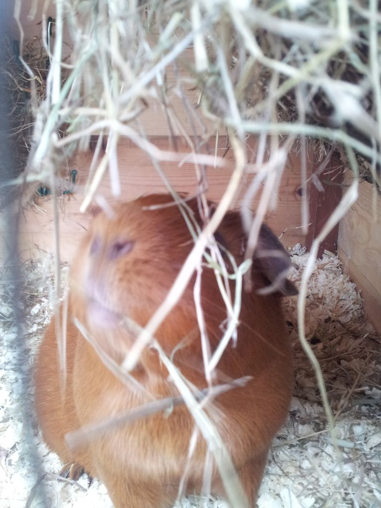 20120610_174256.jpg