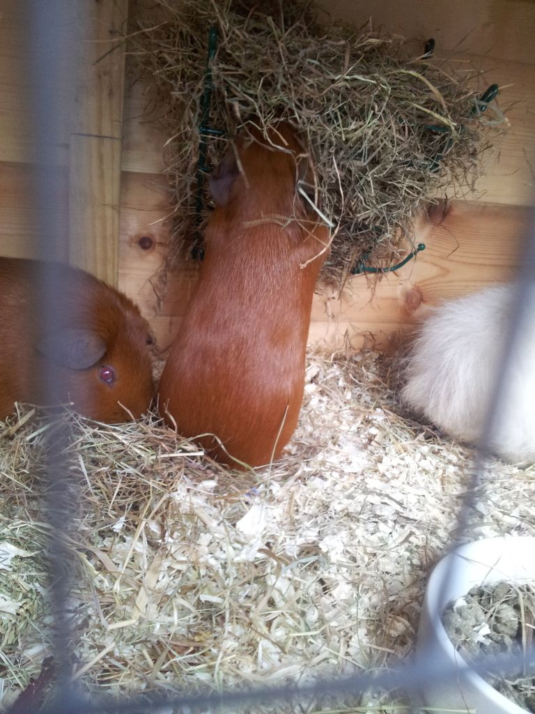 20120610_181624.jpg