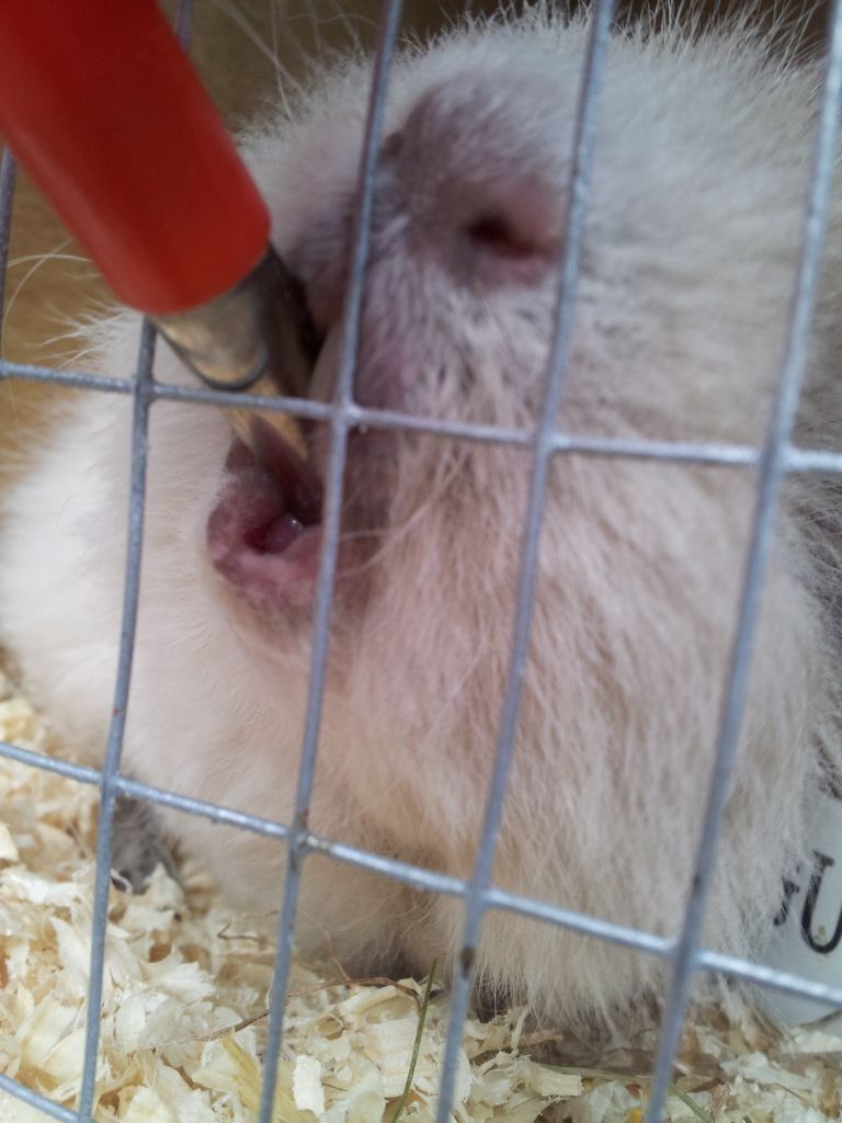 20120610_182710.jpg