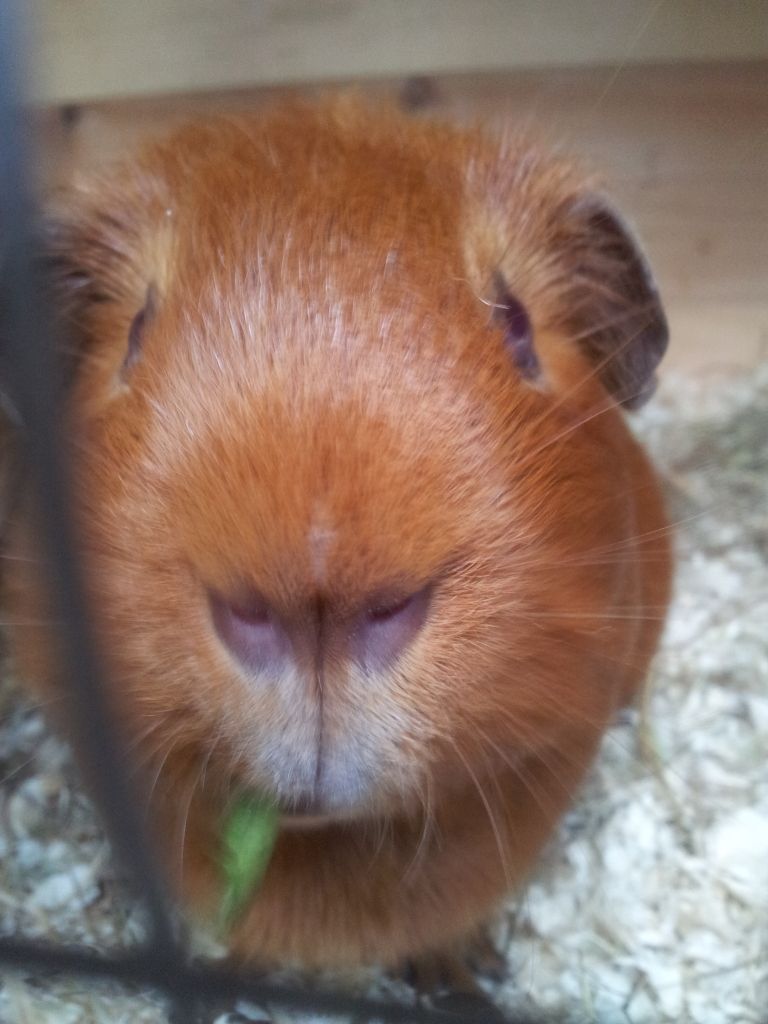 20120610_183735.jpg