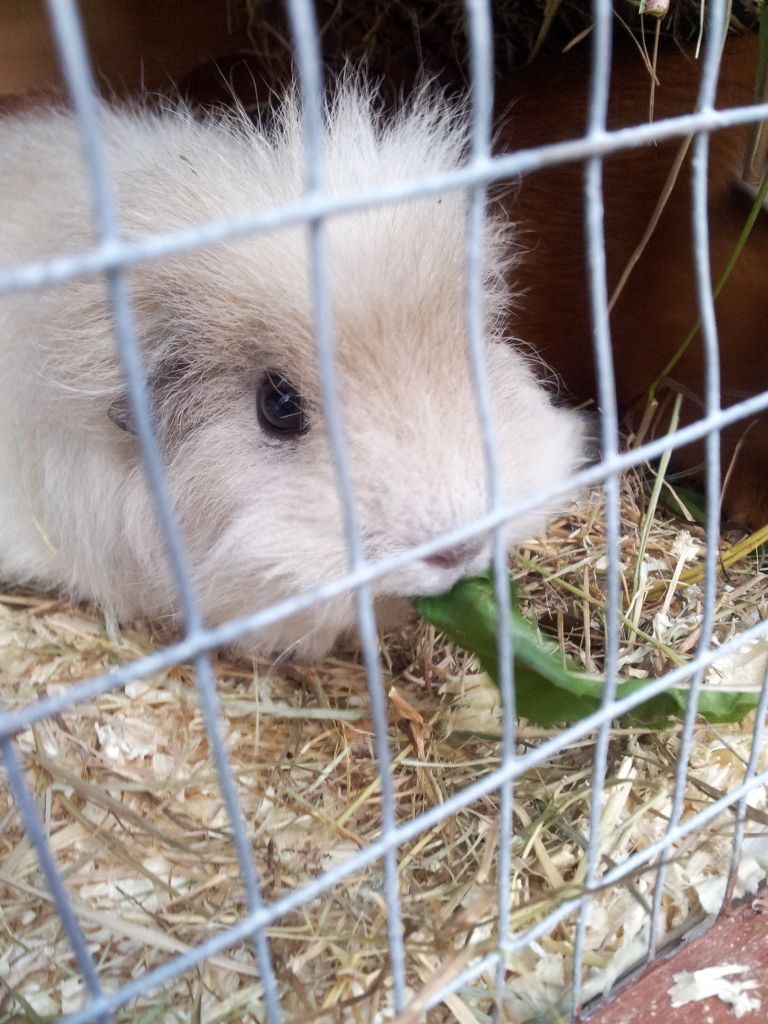 20120610_192025.jpg