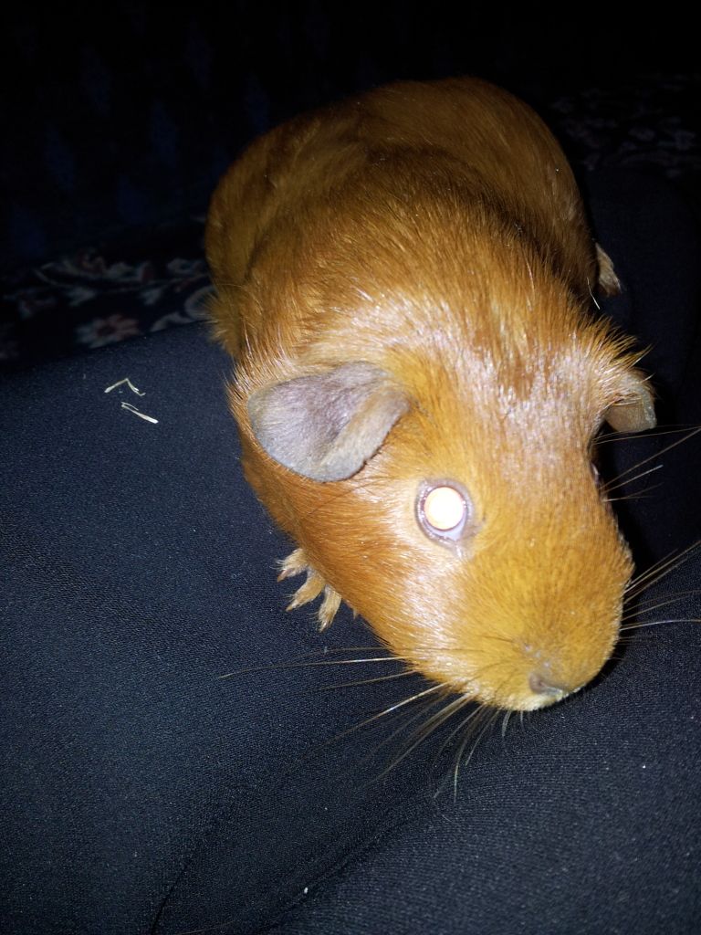 20120615_174956.jpg