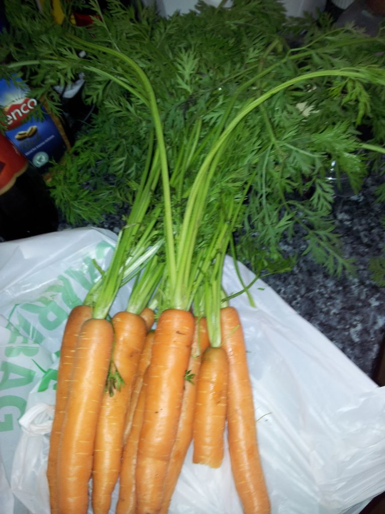 20120616_134027.jpg