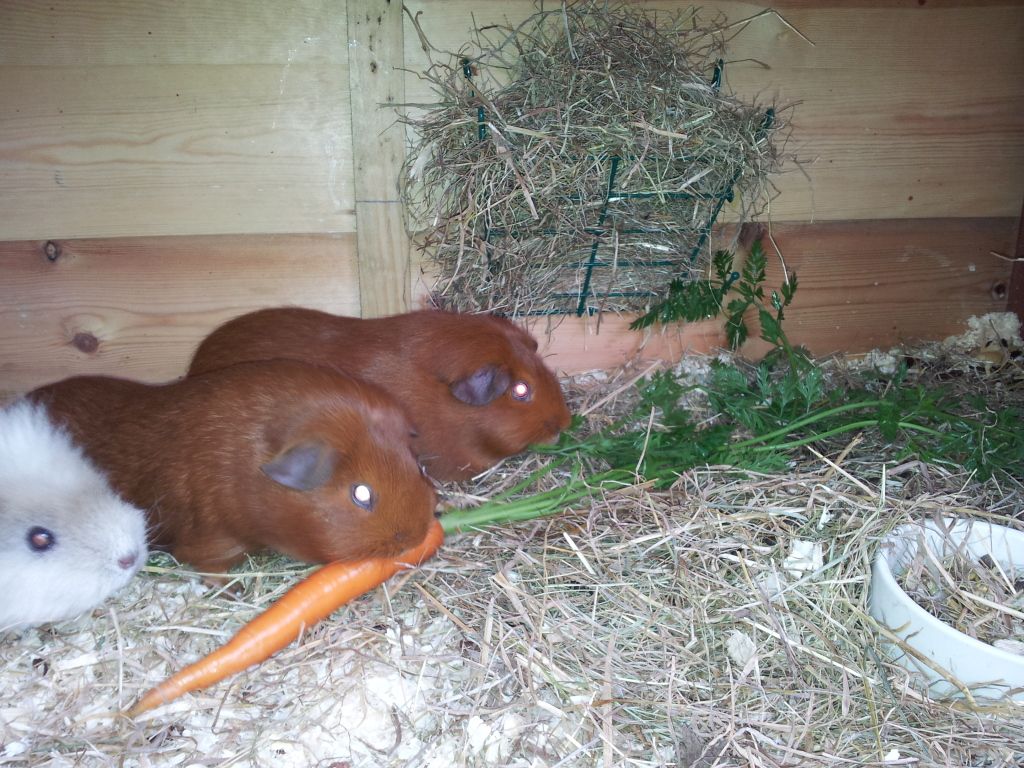 20120616_134347.jpg