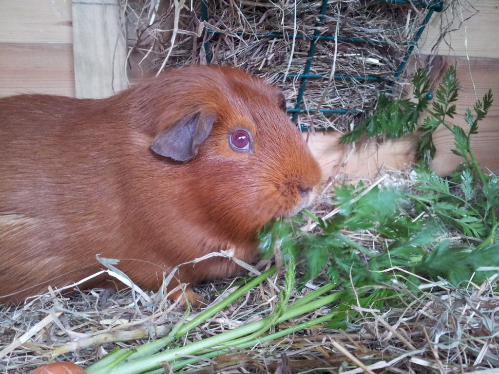 20120616_134452.jpg